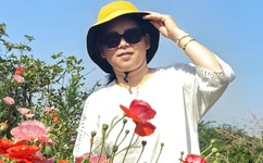 樱花高校的男公关